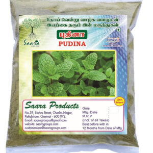 Pudina Powder /Mint Leaf Powder,100g