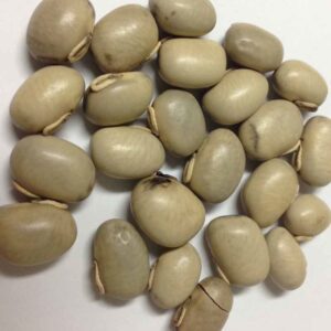 Poonaikali Seed l Velvet Bean (White ) 100g