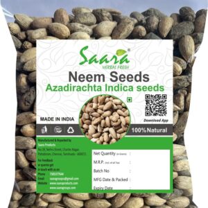 Neem Seeds,100g, Azadirachta Indica, Vepa Ginjalu, Neem Giri, Nimboli, Veppam Kottai,100g