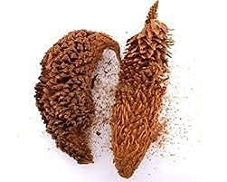 Madhanakama Poo, 100g, Queen Sago, Sago Palm, Cycas Circinalis, Fern Palm, 100g