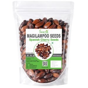 Magilampoo Seeds, 100g, Spanish Cherry Seeds, Mimusops Elengi, Bakul Tree Seeds